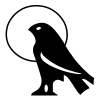 apsukopie